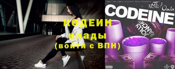 индика Губаха