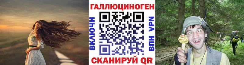продажа наркотиков Карачаевск Галлюциногенные грибы Psilocybine cubensis