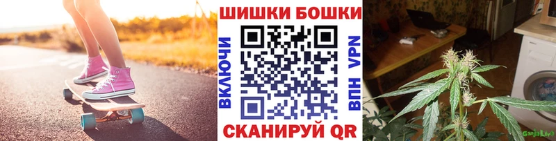 купить   Карачаевск  Шишки марихуана Amnesia 